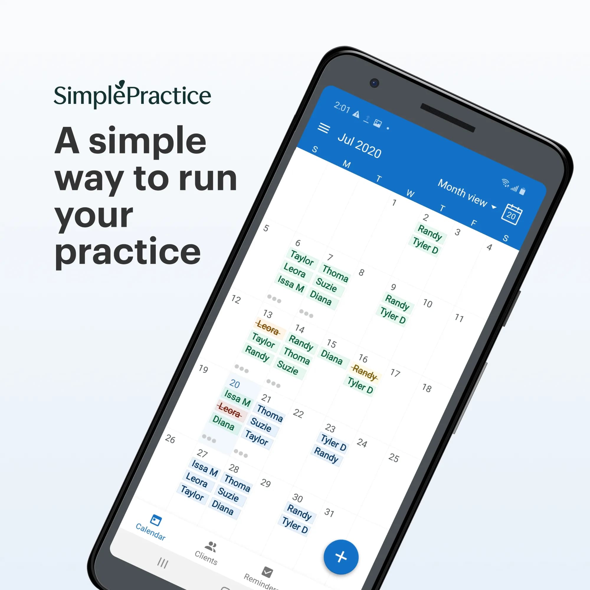 SimplePractice — product imagery