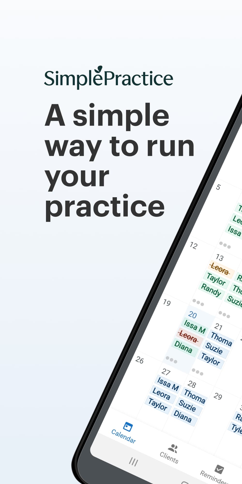 SimplePractice — product imagery